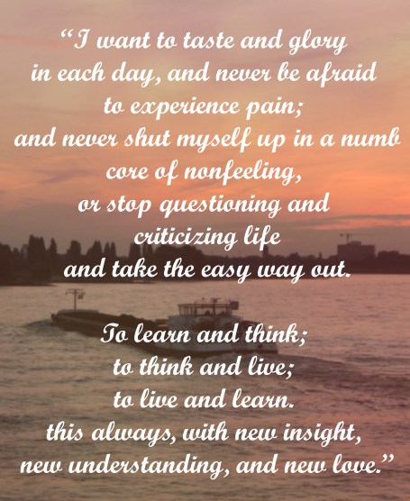 New begginings new understandings